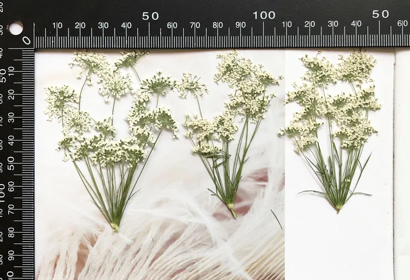 5-7 cm/12 pezzi, piccoli fiori - Baby Nursery Mobile recensione e prezzo